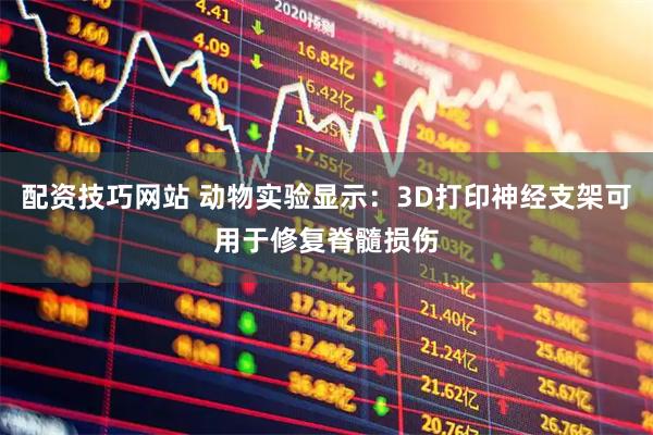 配资技巧网站 动物实验显示：3D打印神经支架可用于修复脊髓损伤