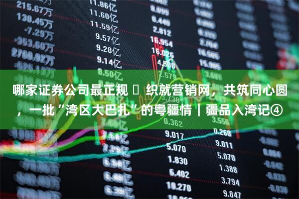 哪家证券公司最正规 ​织就营销网，共筑同心圆，一批“湾区大巴扎”的粤疆情｜疆品入湾记④