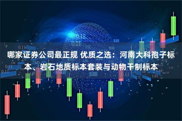 哪家证券公司最正规 优质之选：河南大科孢子标本、岩石地质标本套装与动物干制标本