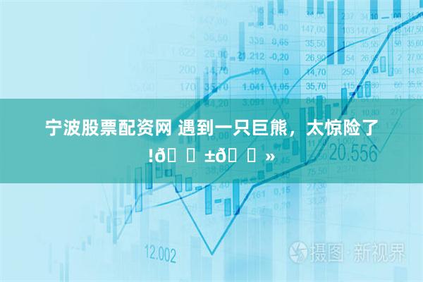 宁波股票配资网 遇到一只巨熊，太惊险了!😱🐻